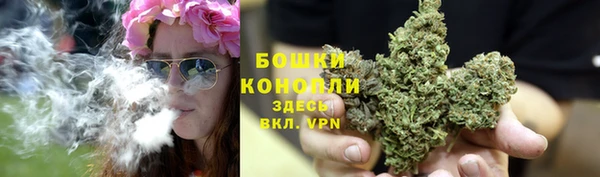 ПСИЛОЦИБИНОВЫЕ ГРИБЫ Армянск