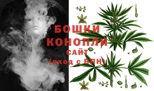 сатива Балабаново