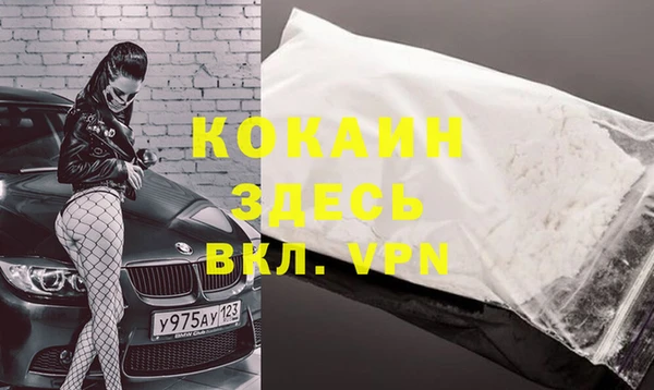 шишки Балахна